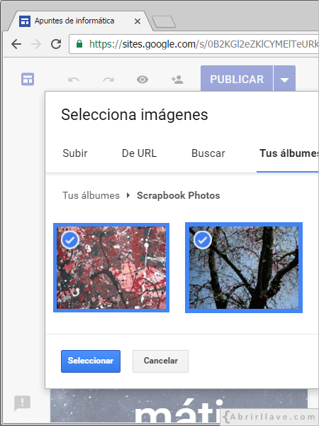 Seleccionar imágenes de tus álbumes para insertar en Google Sites.